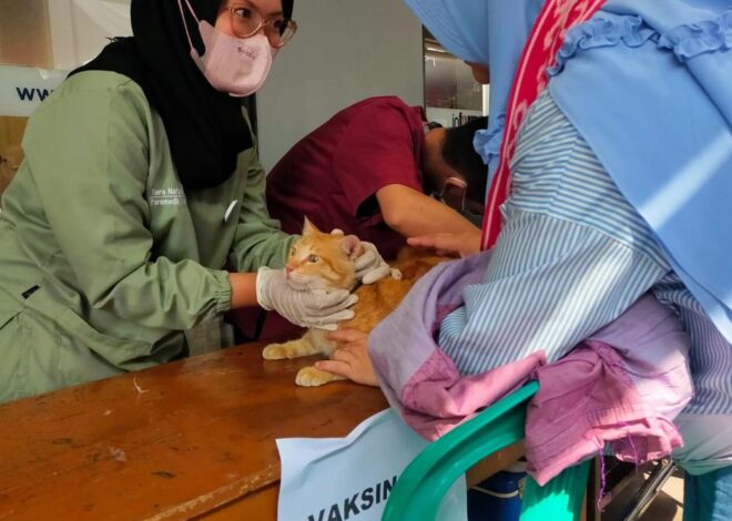 Antusiasme Ratusan Pecinta Hewan Saat Periksa Kesehatan Gratis di Sukabumi