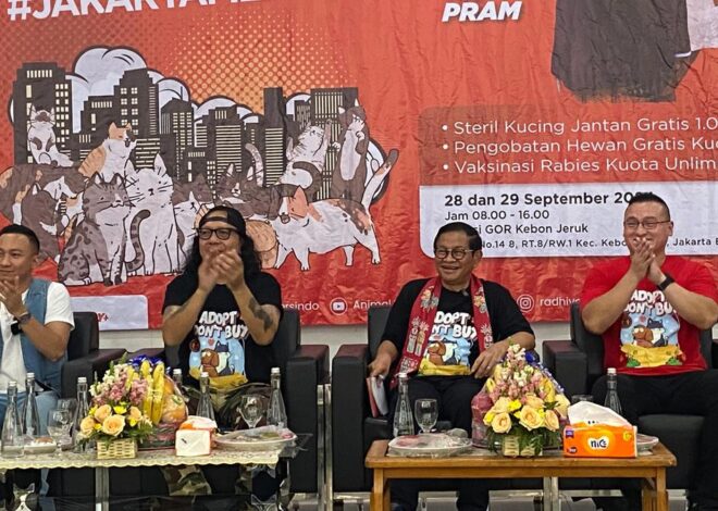 Cagub Jakarta Pramono Anung Bakal Buat Cat Island untuk Pecinta Kucing di Kepulauan Seribu