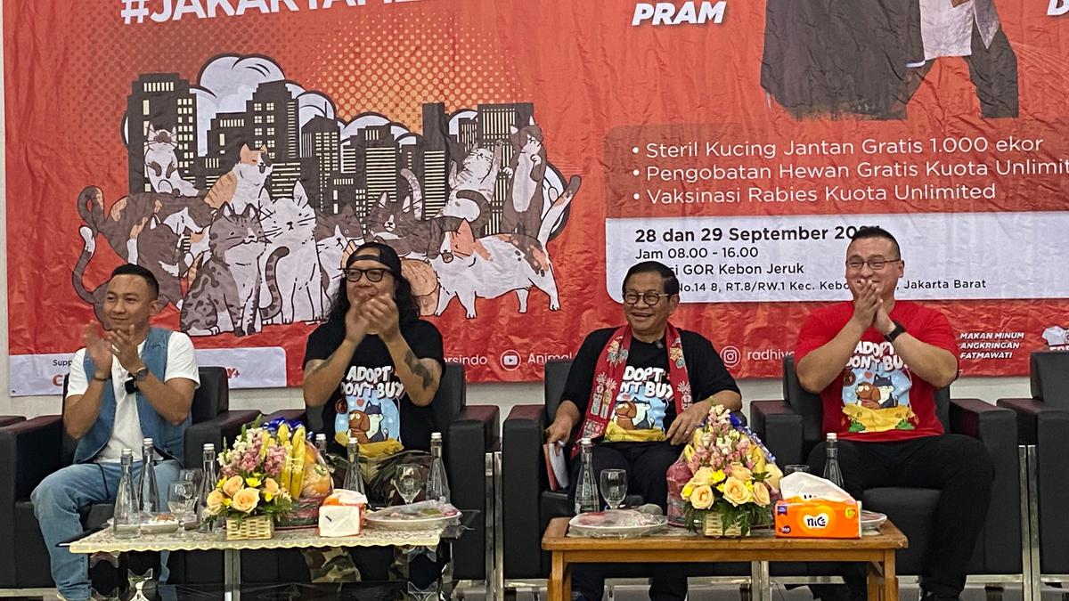 Cagub Jakarta Pramono Anung Bakal Buat Cat Island untuk Pecinta Kucing di Kepulauan Seribu