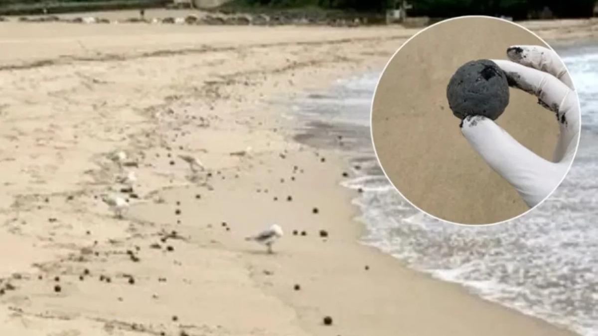 Penampakan ‘Bola’ Hitam Misterius Muncul di Pantai Australia, Fenomena Apa?