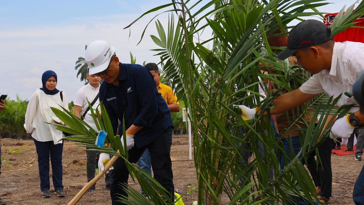 Sejalan dengan Program Pemerintah, PTPN IV PalmCo Targetkan 2,1 Juta Bibit Sawit Unggul Diserap Petani