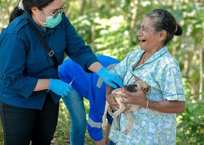 Puji Kepemimpinan Indonesia Tangani Wabah Rabies, Australia Tambah Bantuan 200 Ribu Vaksin