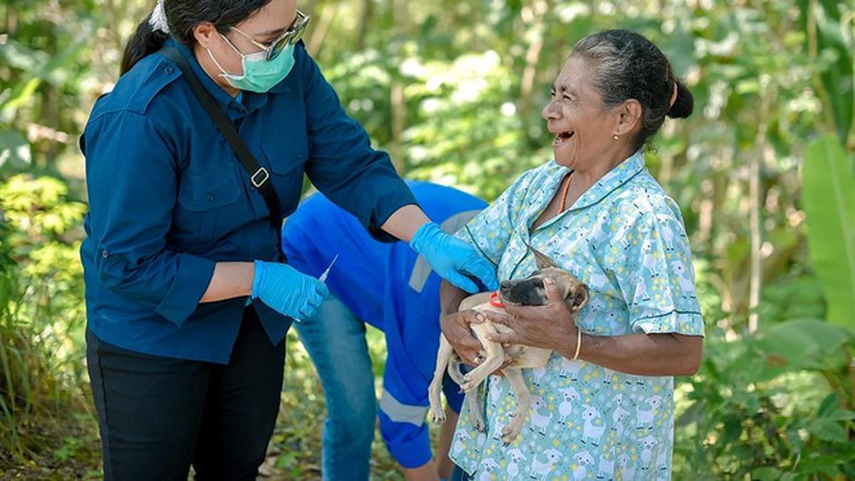 Puji Kepemimpinan Indonesia Tangani Wabah Rabies, Australia Tambah Bantuan 200 Ribu Vaksin