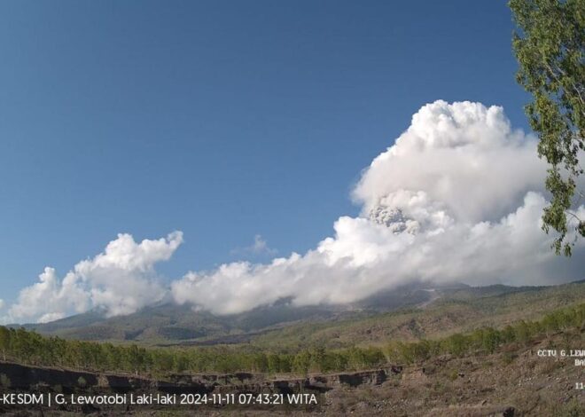 Gunung Lewotobi Laki-Laki Meletus Lagi Senin Pagi 11 November 2024, Abu Vulkanik Menyeruak Setinggi 2 Km