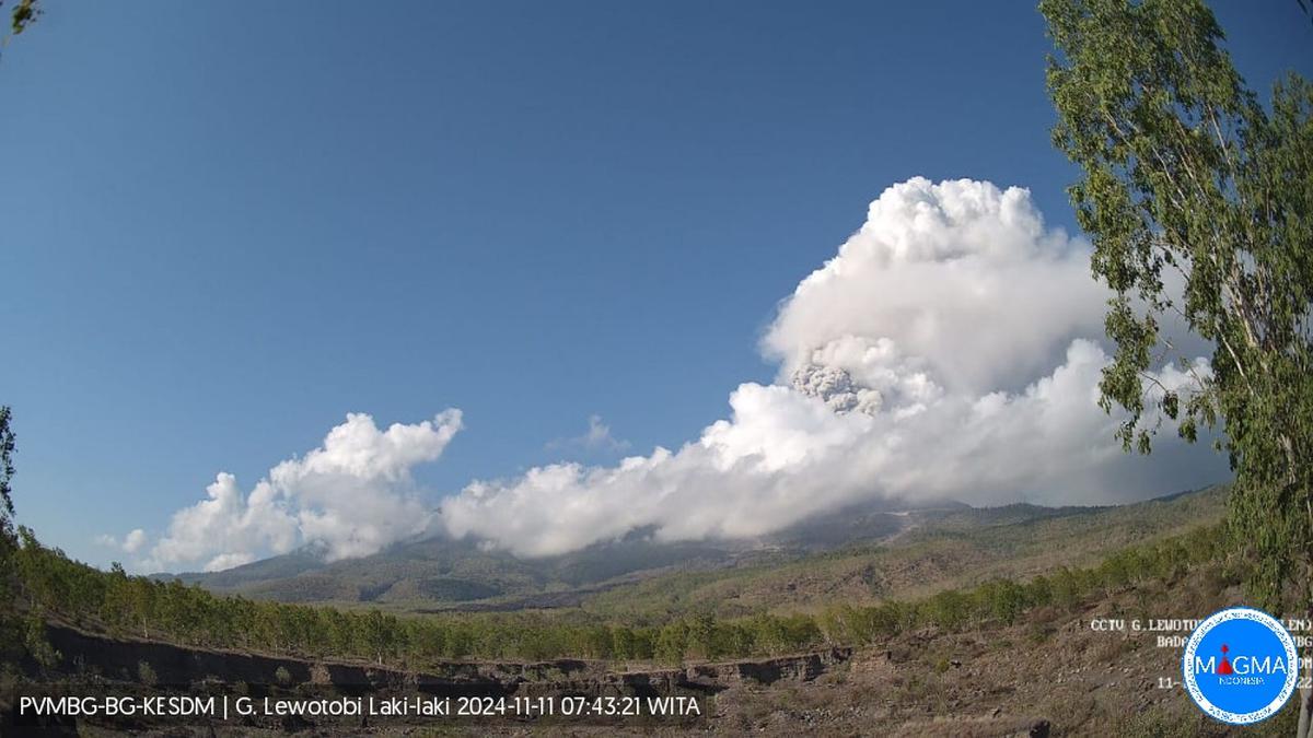 Gunung Lewotobi Laki-Laki Meletus Lagi Senin Pagi 11 November 2024, Abu Vulkanik Menyeruak Setinggi 2 Km