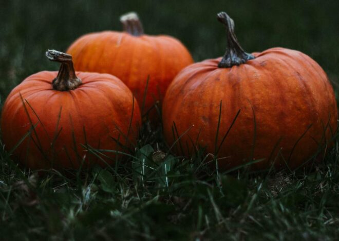 Punya Segudang Manfaat, Labu Halloween Bisa Jadi Superfood di Masa Depan?