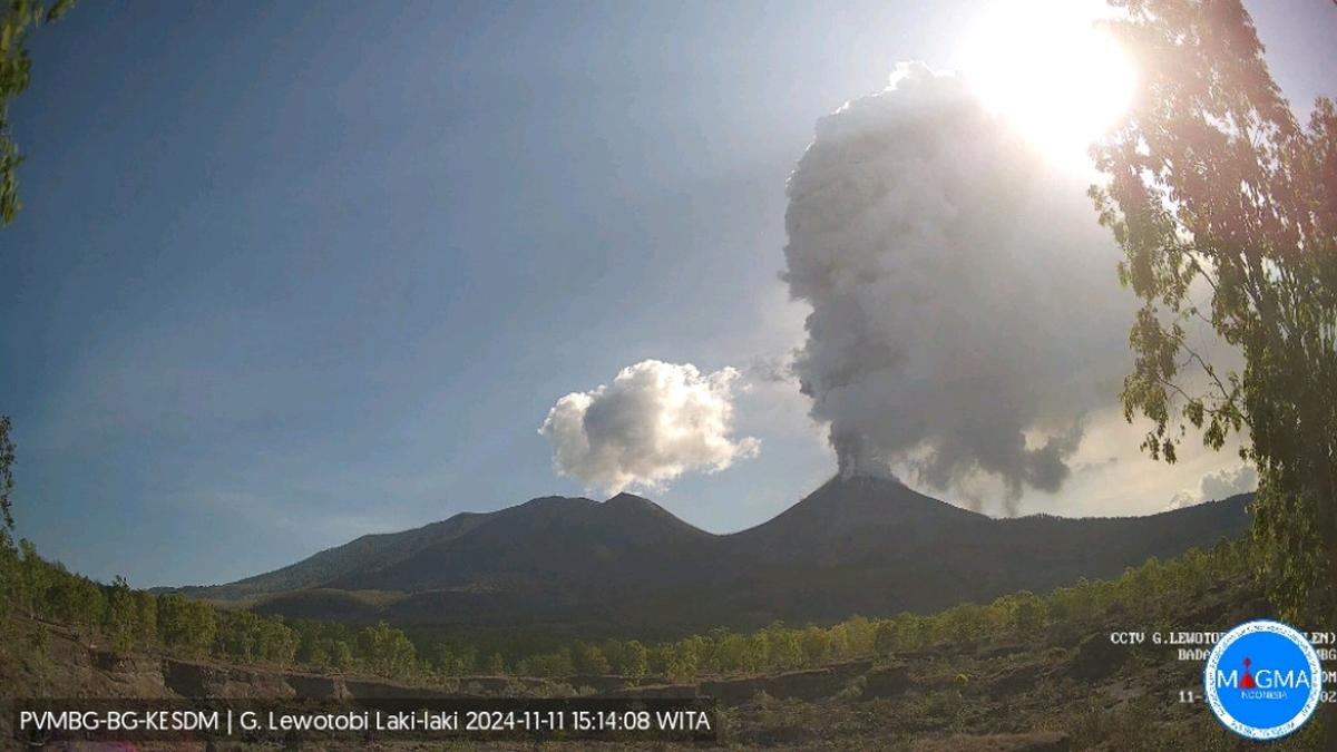 Gunung Lewotobi Laki-Laki Erupsi Lagi Senin Sore 11 November 2024, Semburkan Abu Tebal 2,5 Km ke Arah Barat